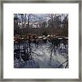 Georgia December Sky Reflected Framed Print