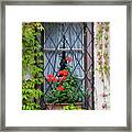 Red Flowers In Window Box Framed Print