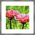 Gerbera Daisies To Brighten Your Day Framed Print