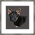 German Shepard Puppy Framed Print