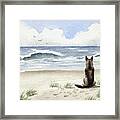 German Shepherd On The Beach Framed Print
