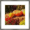 Gifts Of Autumn Framed Print