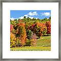New Hampshire Foliage Framed Print