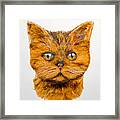 Ginger Framed Print