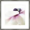 Glimpse Of Perfection. Framed Print