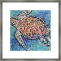 Glittering Turtle Framed Print