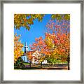 Glorious Colors Framed Print