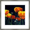 Glowing Poppies Framed Print