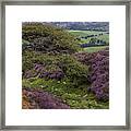 Gnarly Tree And Heather Framed Print