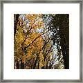 Go For Walk Framed Print