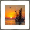 Going Out To Sea Framed Print