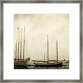 Going Sailing Framed Print