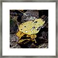 Gold And Diamonds Framed Print