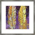 Gold Feathers Framed Print