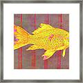 Gold Fish On Striped Background Framed Print