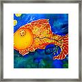 Gold Fish Framed Print