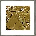 Golden Leaves Framed Print