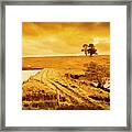 Golden Australia Sunset Framed Print