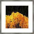 Golden Autumn Framed Print