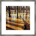 Golden Brown Frozen Pond Framed Print