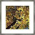 Golden Canopy - Look Up To The Trees And Enjoy Autumn - Vertical Left Framed Print