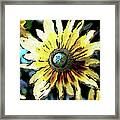 Golden Daisy Flower Framed Print