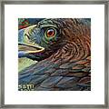 Golden Eagle Framed Print