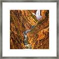 Golden Falls Of Yellowstone Framed Print