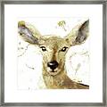 Golden Forest Deer Framed Print