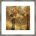 Golden Forest Framed Print