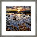 Golden Hour At Pott's Point Framed Print