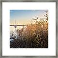 Golden Hour At The Lake Framed Print