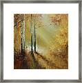 Golden Light In Autumn Woods Framed Print
