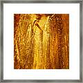 Golden Light Of Angel Framed Print