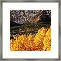 Golden Mountain Scene Framed Print