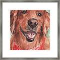 Golden Retriever Dog In Watercolori Framed Print