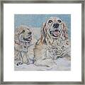 Golden Retriever With Pup In Snow Framed Print