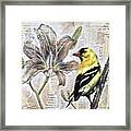 Goldfinch And Lily Framed Print