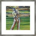 Golf Tips Framed Print