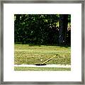 Golfing Sand Trap The Ball In Flight 02 Framed Print