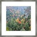 Gorge At Falls Creek Falls State Park Framed Print