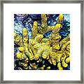 Gorgeous Yellow Framed Print