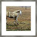 Got Mud ? Framed Print