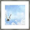 Grace In Flight - The Tern Framed Print
