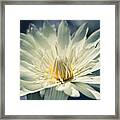 Grace Framed Print