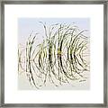 Graceful Grass Framed Print