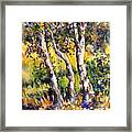 Grainery Poplars Framed Print