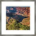 Grand Canyon And Colorado River 7r2_dsc2022_08152017 Framed Print