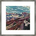 Grand Canyon Mule Skinners Framed Print