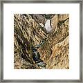 Grand Canyon Of The Yellowstone And Yellowstone Falls Framed Print